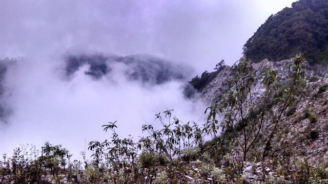 Un paseo por las nubes!